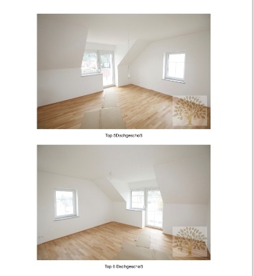 Object Image